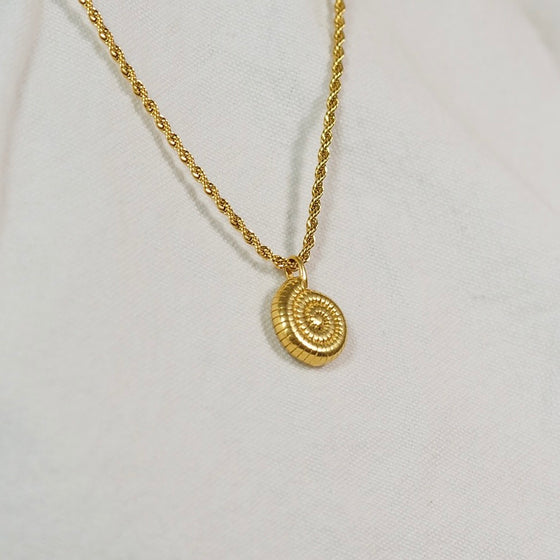 Sea Shell Pendant Necklace